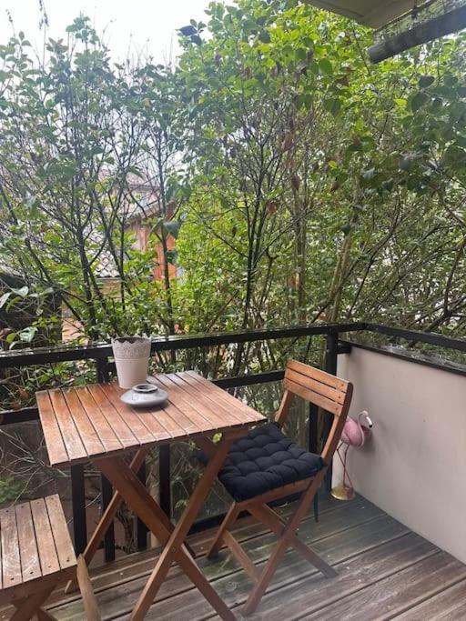 Appartamento Jardin Des Plantes Parking Securise Terrasse Et Ascenseur Tolosa Esterno foto